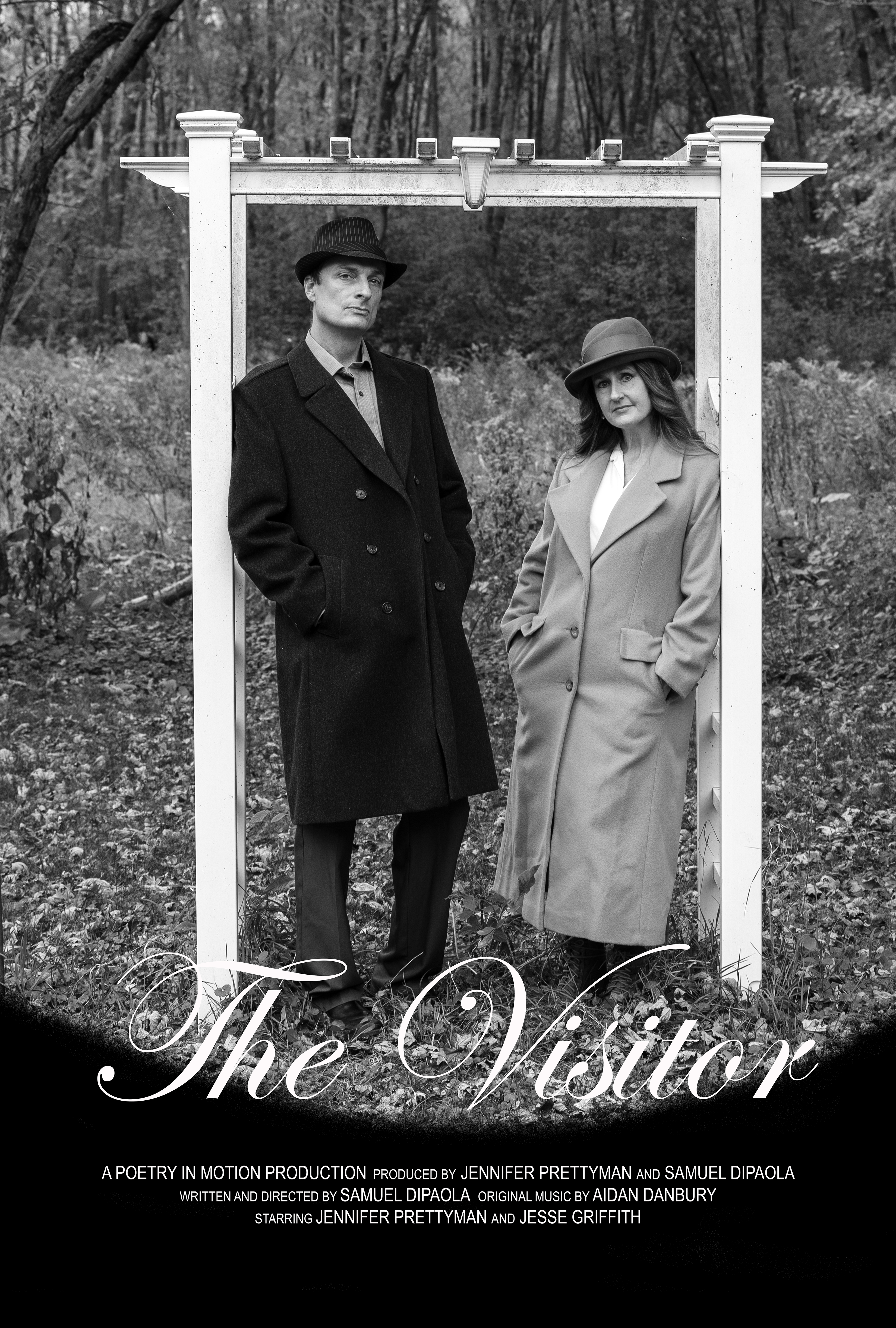 The Visitor